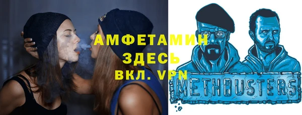 индика Зеленокумск