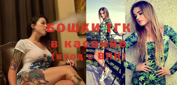 индика Зеленокумск