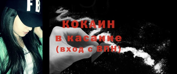 индика Зеленокумск