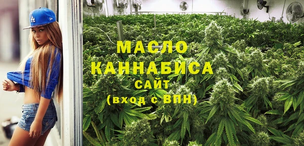 индика Зеленокумск