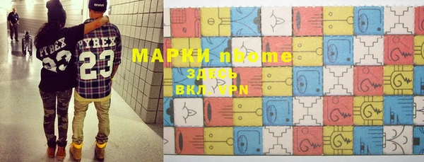 индика Зеленокумск
