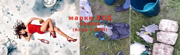 соль ск Зерноград